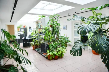 Un birou luminos, cu luminatoare, o masă de lucru și un scaun în capătul opus, un raft metalic și multe plante verzi mari în ghivece.
