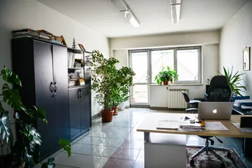 Un birou lung cu dulapuri negre înalte, plante în ghivece și o masă de lucru cu un laptop, iar în capăt o ușă cu geam.