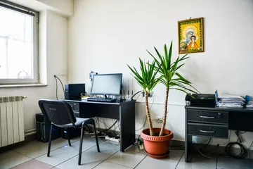 Un colț de birou cu o masă de lucru neagră, un monitor de calculator și un scaun, o plantă în ghiveci cu frunze lungi și ascuțite și o icoană înrămată pe perete, lângă o fereastră și un calorifer.