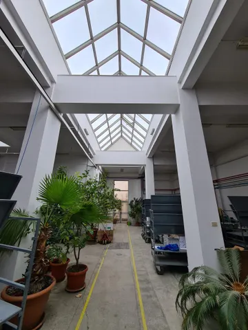 O hală sub un luminator de sticlă în două ape, cu palmieri și alte plante mari în ghivece de-a lungul unei căi marcate cu galben și cărucioare cu rafturi gri de ambele părți.