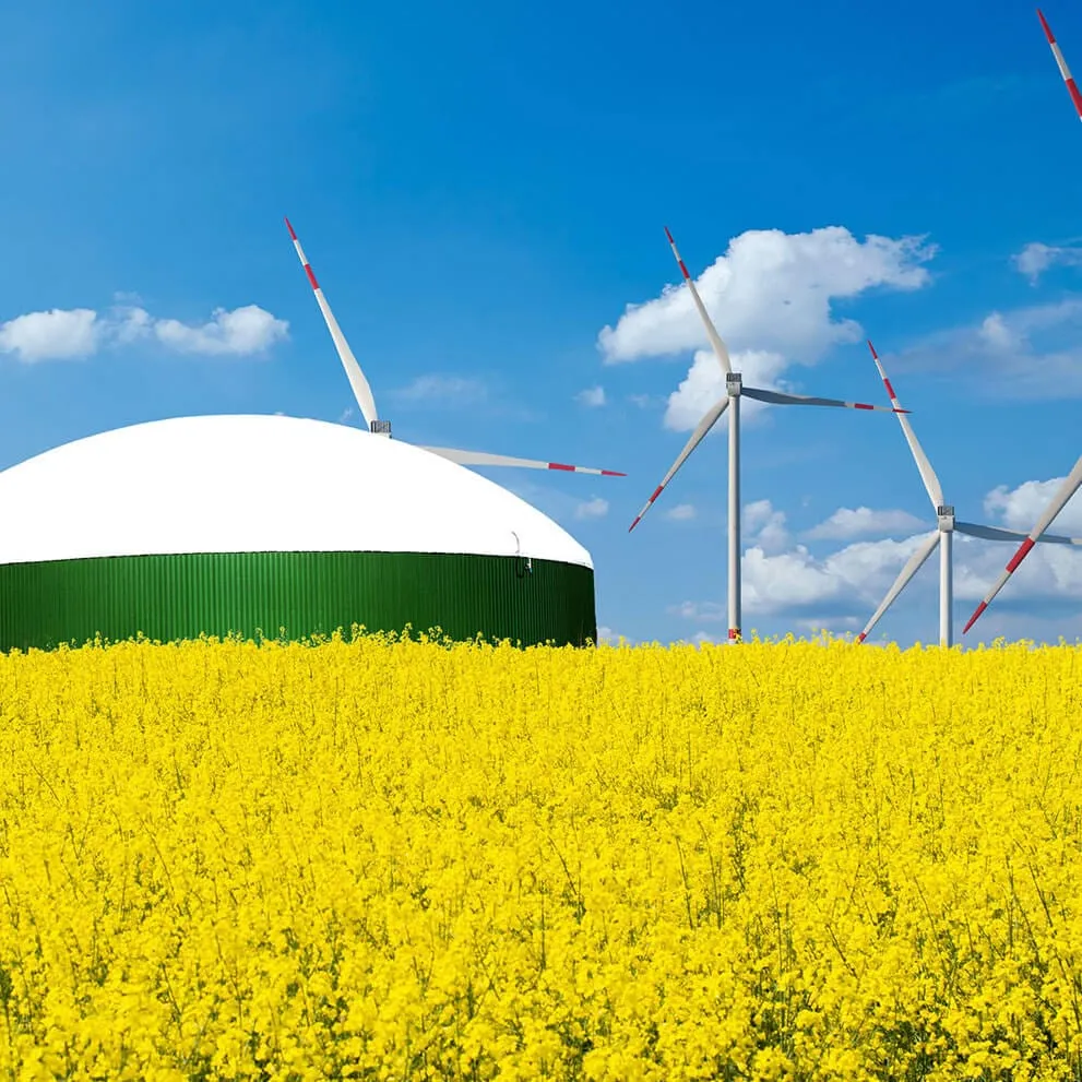 A white domed tank with a green wall beside wind turbines, behind a field of yellow flowers under a blue sky.